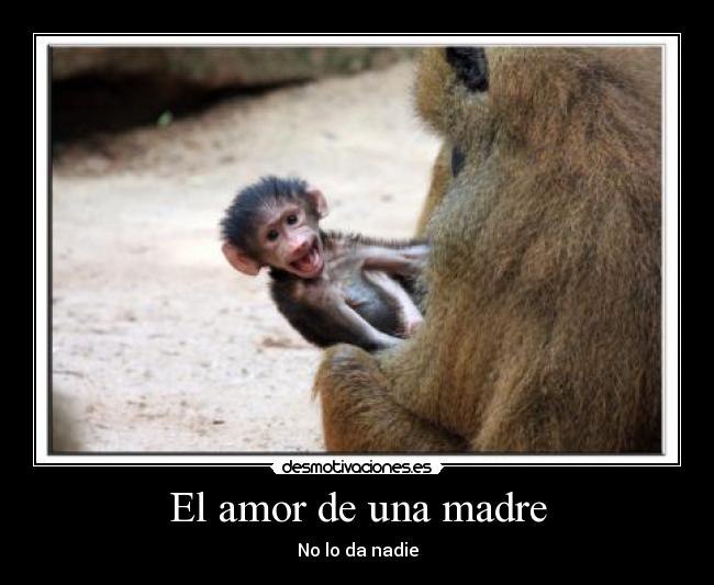 carteles amor madre mono madre felicidad carino desmotivaciones