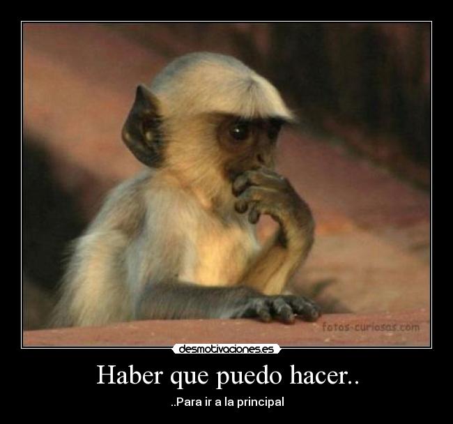 Haber que puedo hacer.. - 