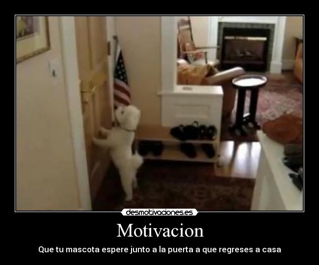 Motivacion -