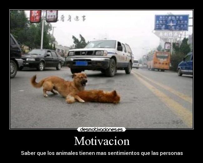 Motivacion - 