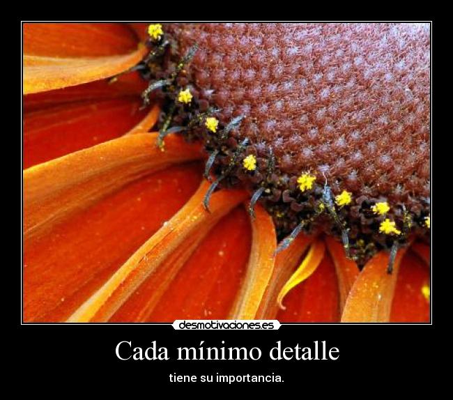 Cada mínimo detalle - tiene su importancia.