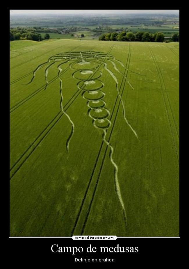 Campo de medusas - Definicion grafica