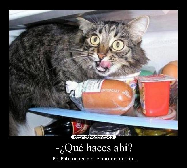 -¿Qué haces ahí? -