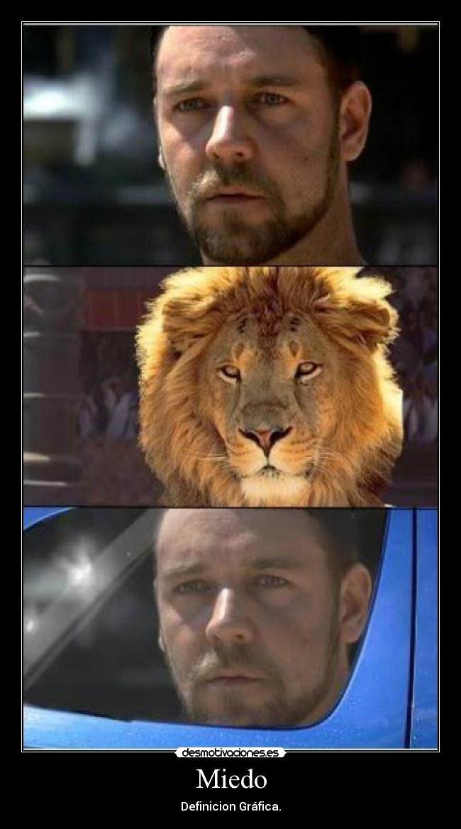 carteles miedo miedo definicion grafica lisardoim desmotivaciones