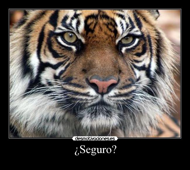 ¿Seguro? -