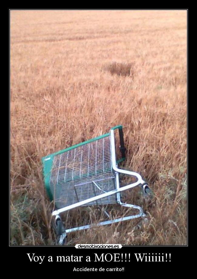 Voy a matar a MOE!!! Wiiiiii!! - 