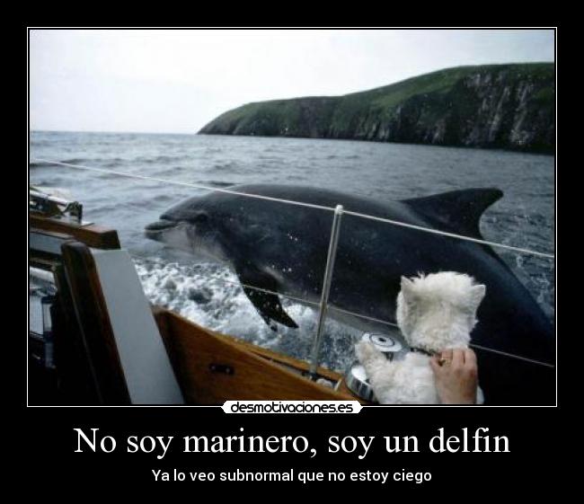 No soy marinero, soy un delfin - Ya lo veo subnormal que no estoy ciego
