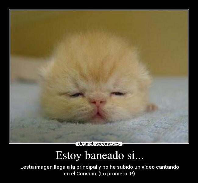 Estoy baneado si... - 