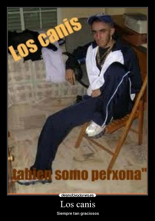 Los canis -