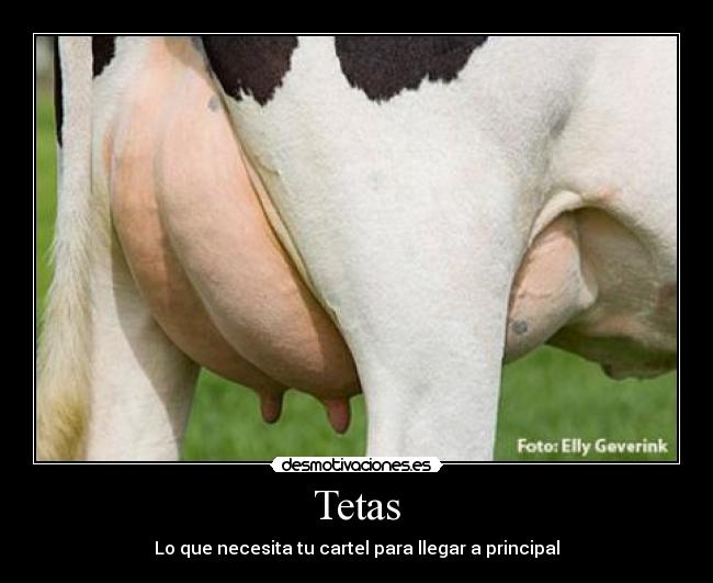 Tetas -