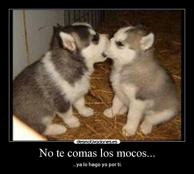 No te comas los mocos... - 
