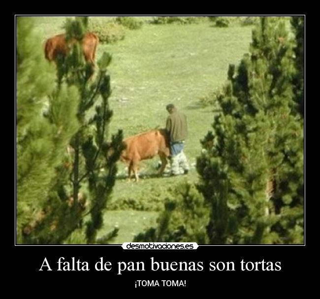 A falta de pan buenas son tortas -