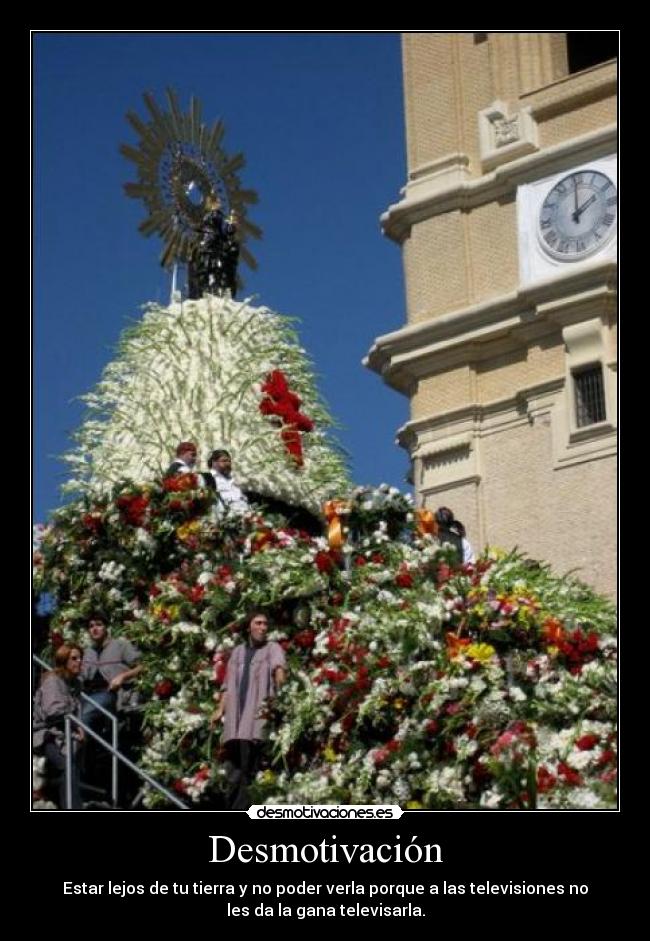 carteles ofrenda flores zaragoza television desmotivaciones