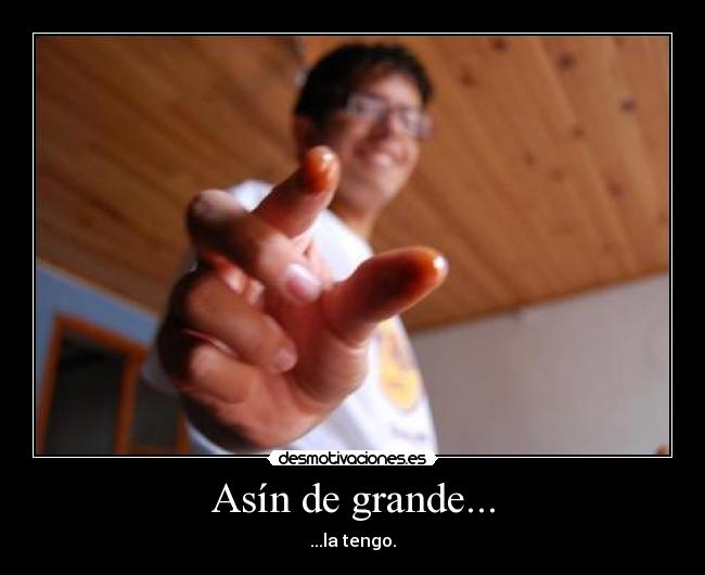 carteles sexo organo reproductor desmotivaciones