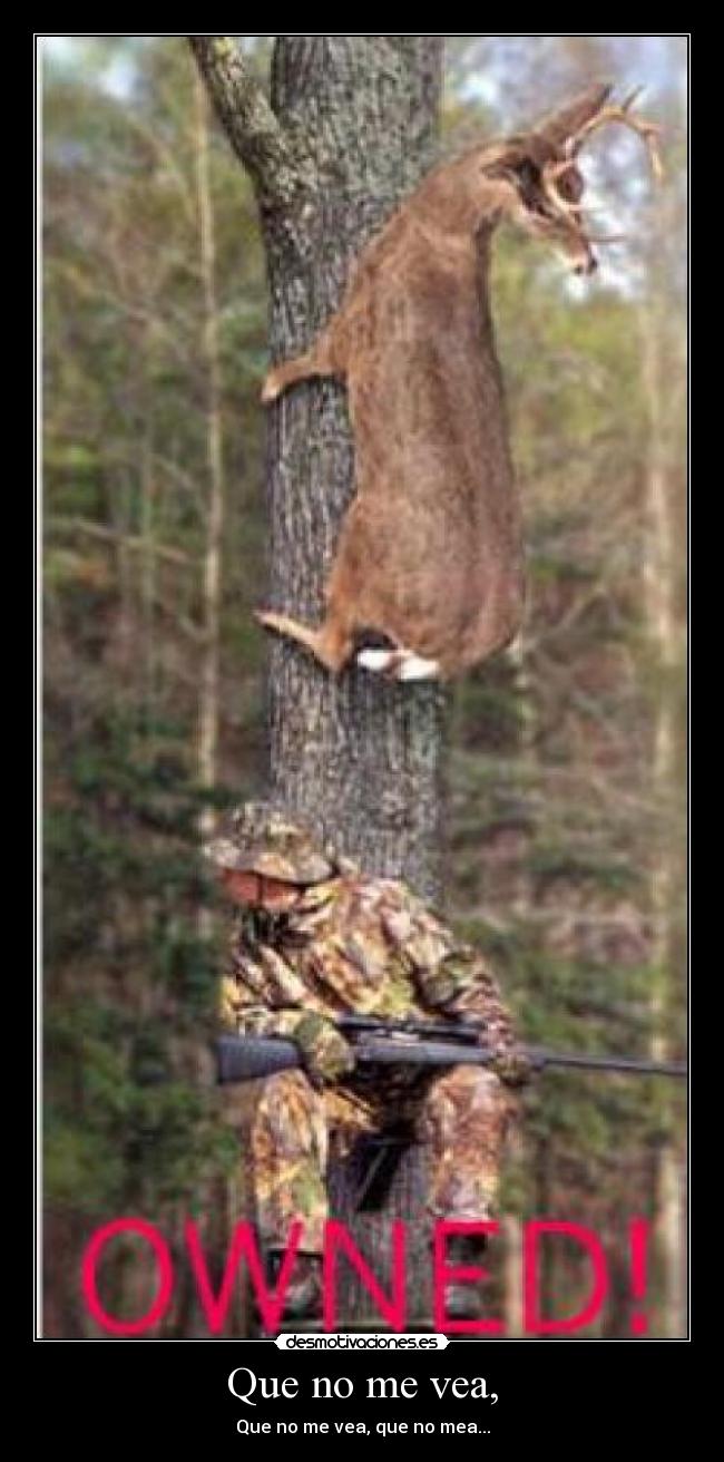 Que no me vea, - Que no me vea, que no mea...