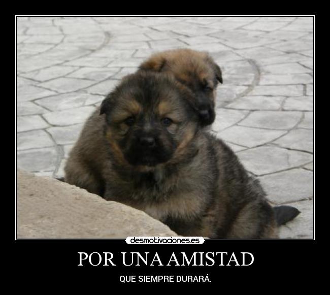 POR UNA AMISTAD - QUE SIEMPRE DURARÁ.