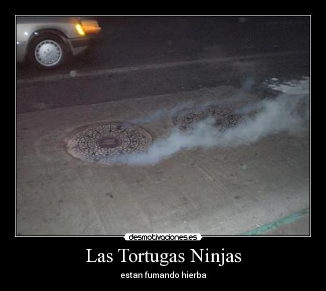 Las Tortugas Ninjas - estan fumando hierba