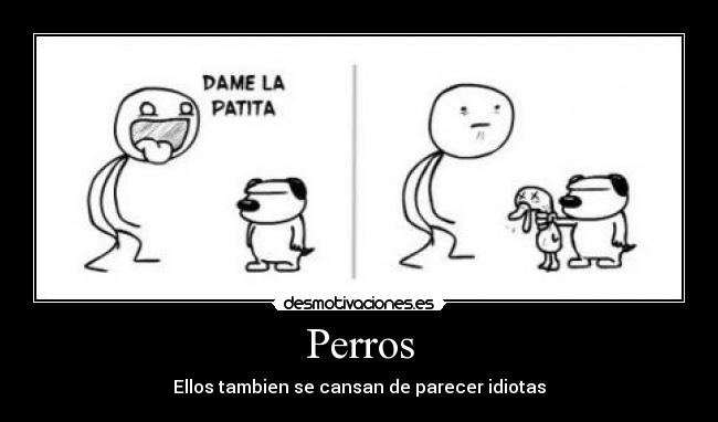 Perros - 