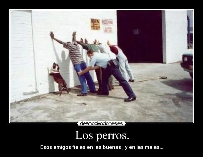 Los perros. - 