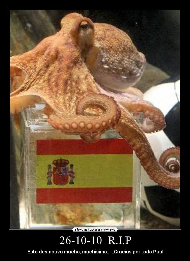 26-10-10 R.I.P - Esto desmotiva mucho, muchisimo......Gracias por todo Paul
