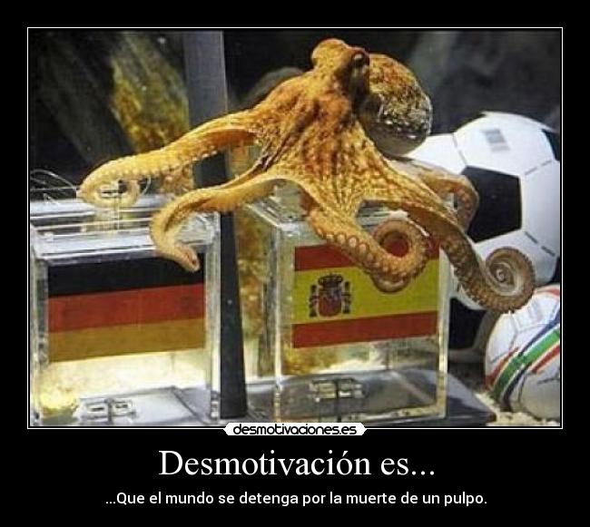 Desmotivación es... - ...Que el mundo se detenga por la muerte de un pulpo.