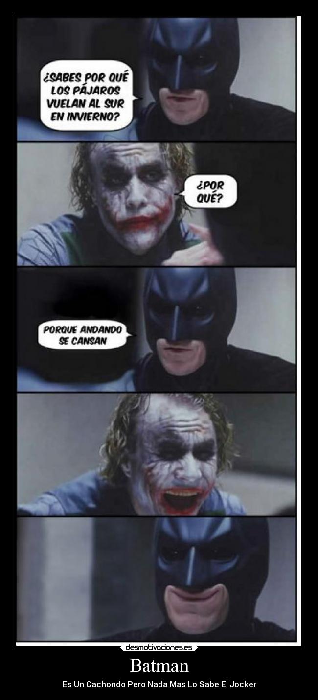 Batman - Es Un Cachondo Pero Nada Mas Lo Sabe El Jocker