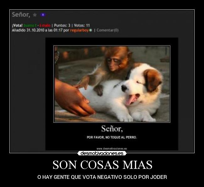 SON COSAS MIAS - 