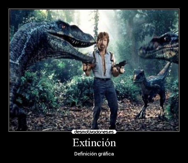 carteles chuck norris desmotivaciones