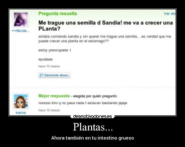 Plantas... -