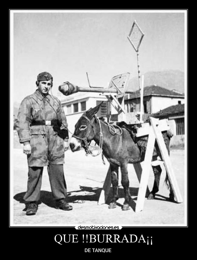    QUE !!BURRADA¡¡ - DE TANQUE 