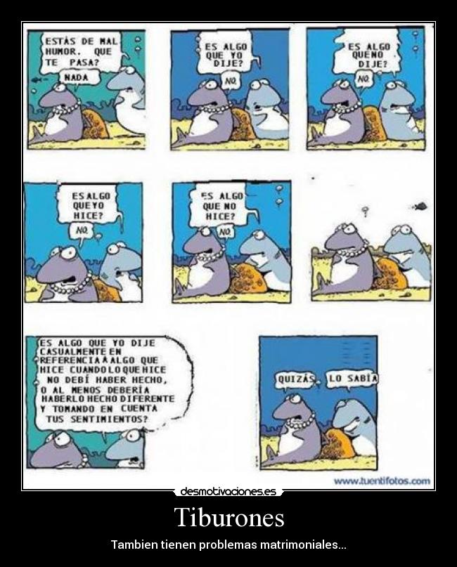 Tiburones - Tambien tienen problemas matrimoniales...