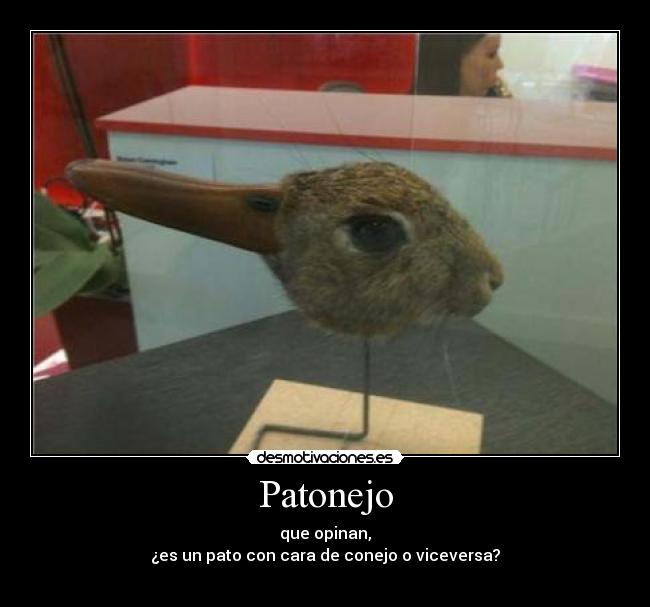 Patonejo -