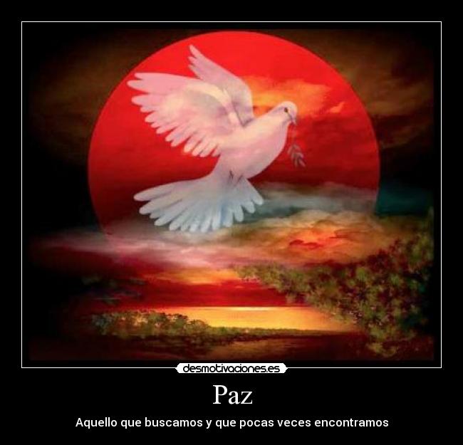 Paz - Aquello que buscamos y que pocas veces encontramos