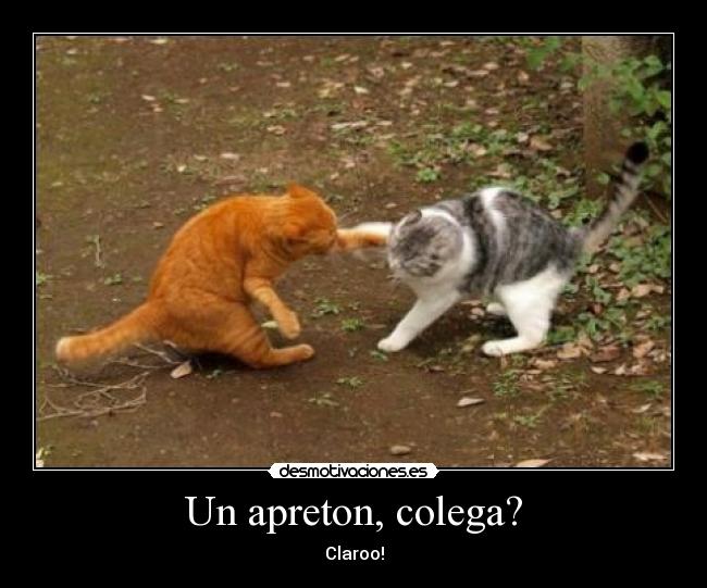 Un apreton, colega? - 