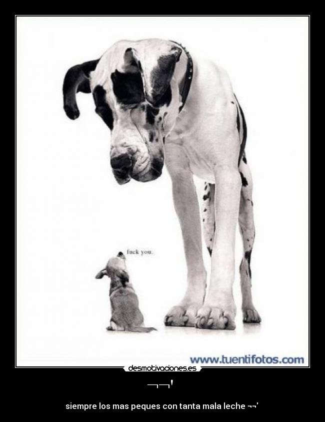 ¬¬ - siempre los mas peques con tanta mala leche ¬¬