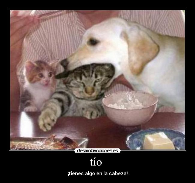 tío - ¡tienes algo en la cabeza!