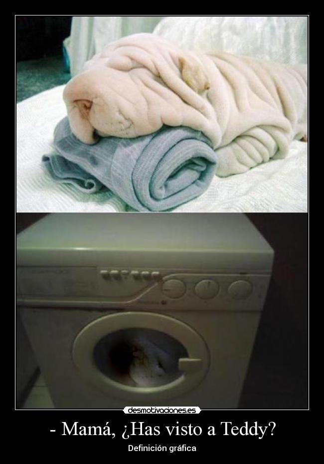 - Mamá, ¿Has visto a Teddy? - Definición gráfica