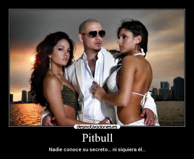 Pitbull - 