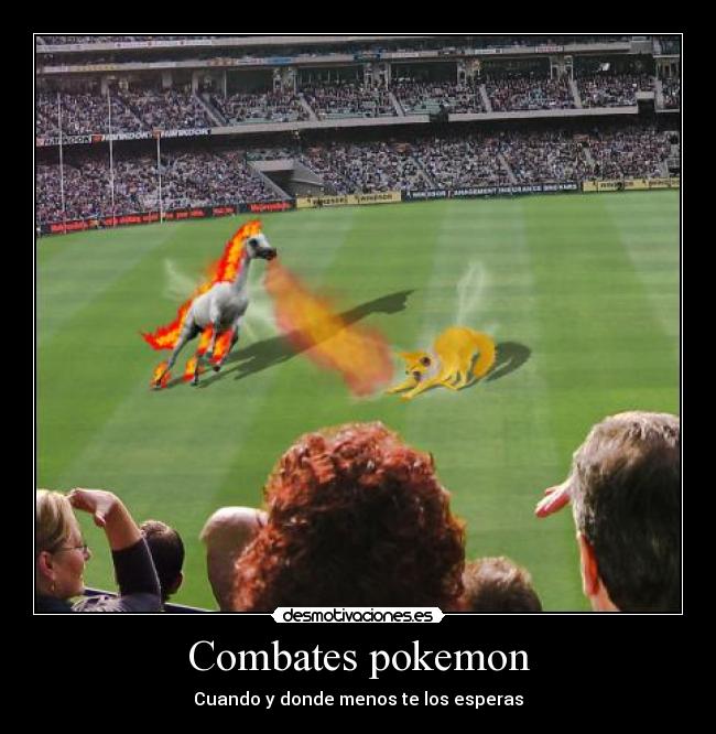 Combates pokemon -