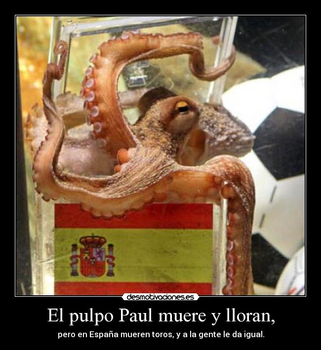 El pulpo Paul muere y lloran, -