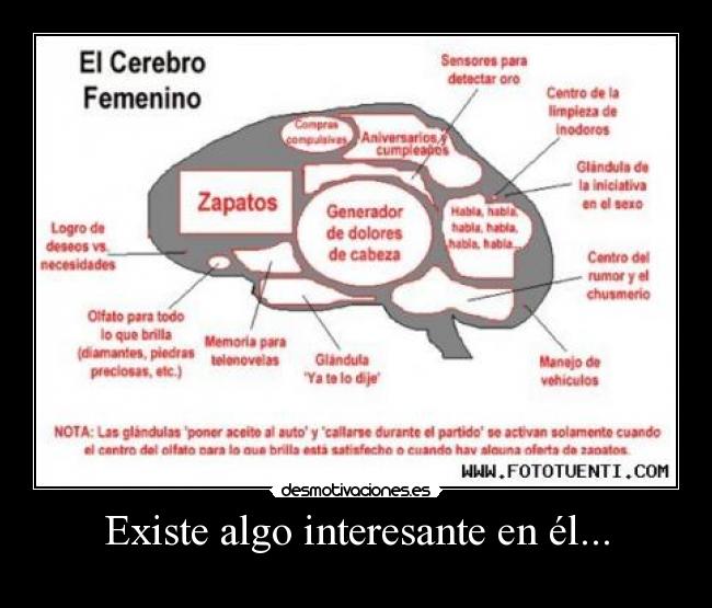 carteles jajajajajajajajaja desmotivaciones