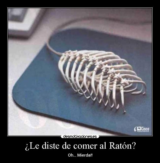 carteles le diste comer raton oh mierda dr4c096 desmotivaciones