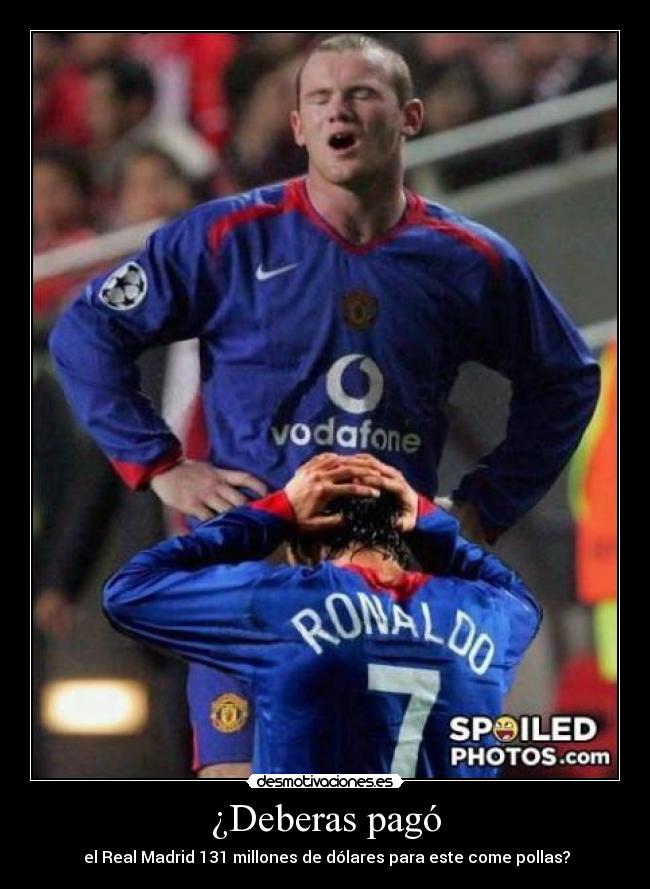 carteles sexo campo desmotivaciones