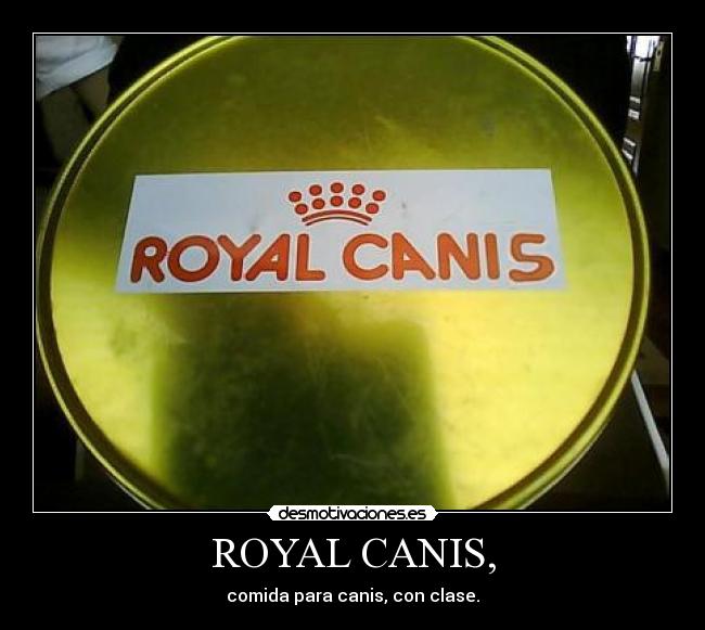 ROYAL CANIS, - 