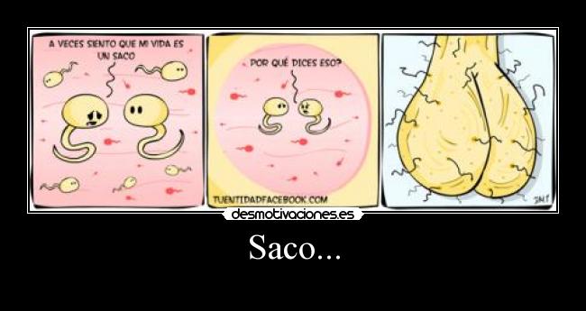 Saco... -