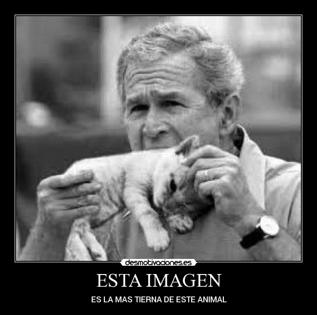 ESTA IMAGEN - ES LA MAS TIERNA DE ESTE ANIMAL