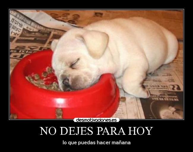 carteles vago desmotivaciones