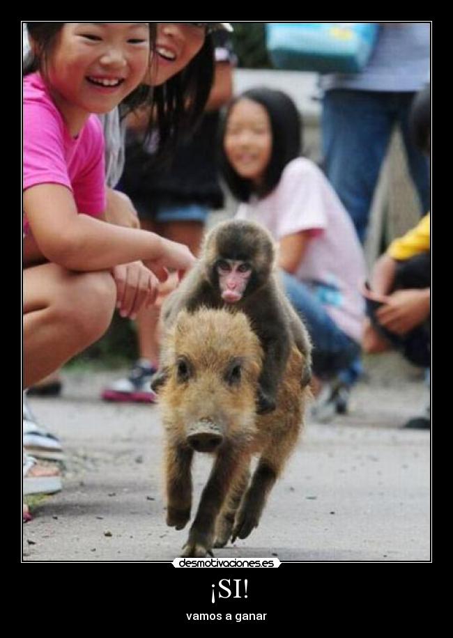 ¡SI! - vamos a ganar