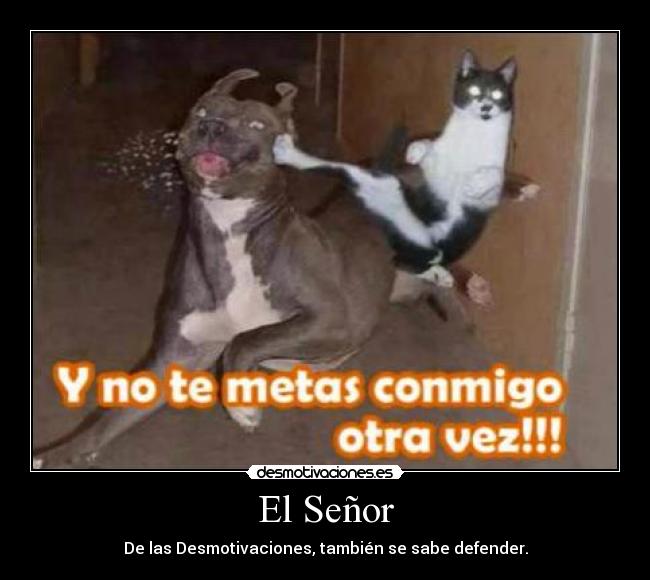 carteles laurisisisisisilla desmotivaciones