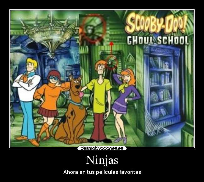 Ninjas -